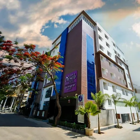 Zip By Spree Hotels Purpleorchid Whitefield